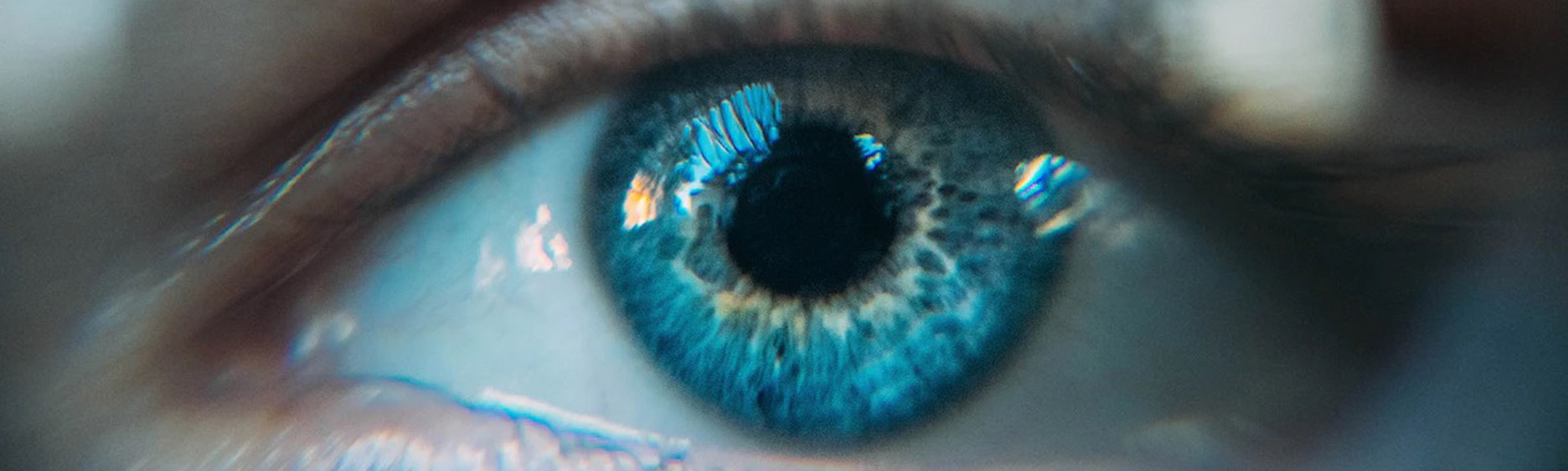 &nbsp;